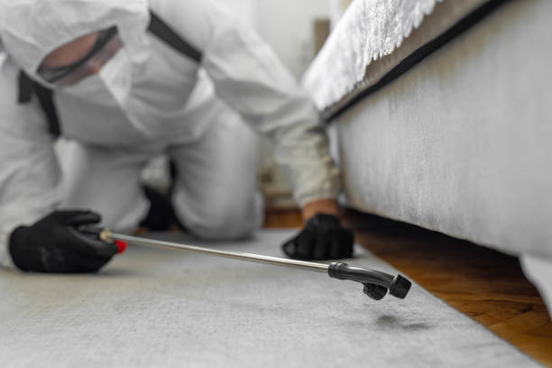 Professional Cockroach Control technician working in Eidson Road, TX