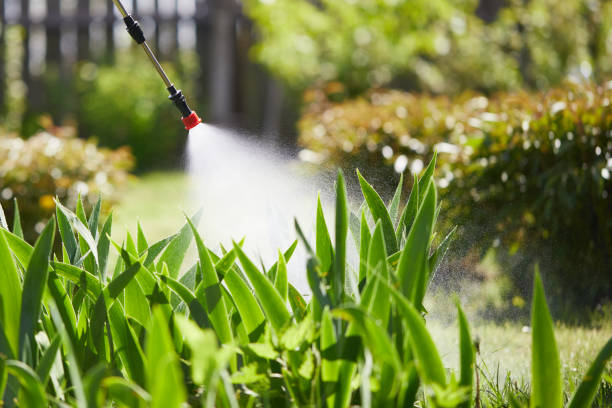 24/7 Emergency Cockroach Control experts in Eidson Road, TX