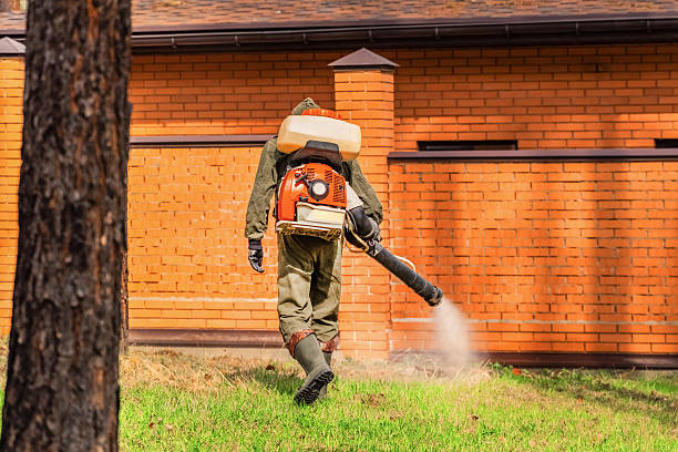 Trusted Bed Bug Control service in Eidson Road, TX - Nex Pest Control